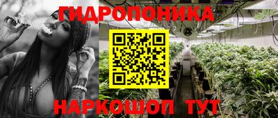 гашик Новокубанск