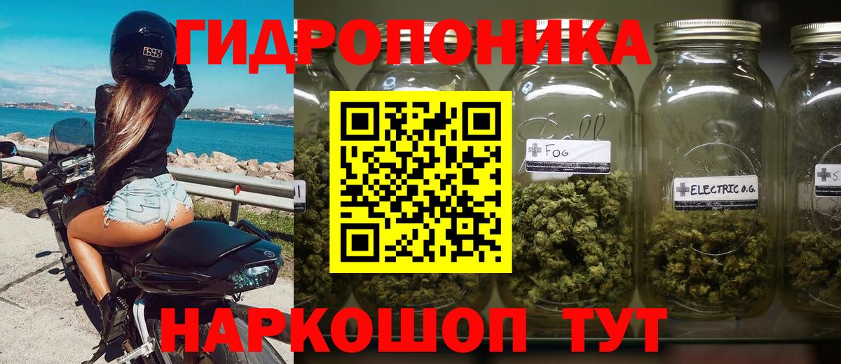 Бошки марихуана White Widow Сунжа